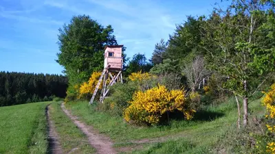 Naturlandschaft in der Nähe der Ferienwohnung
