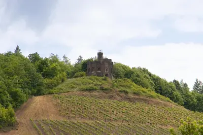 Naturlandschaft in der Nähe des Hotels