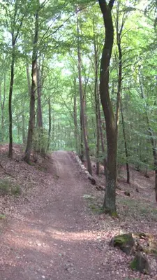 Naturlandschaft in der Nähe der Ferienwohnung