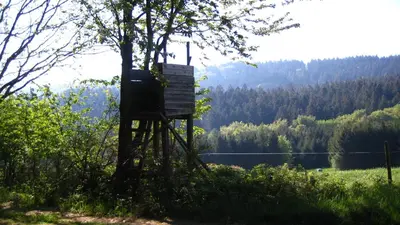 Naturlandschaft in der Nähe der Ferienwohnung