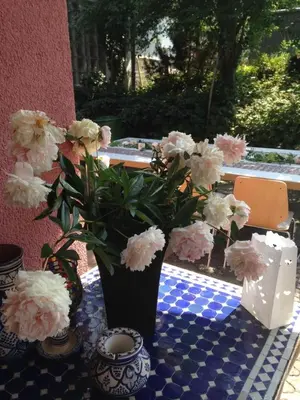 Ein Garten an der Unterkunft The Place After the Race B&B