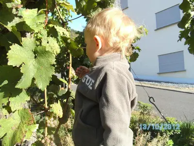 Gäste, die in der Unterkunft Gästehaus Heidi übernachten