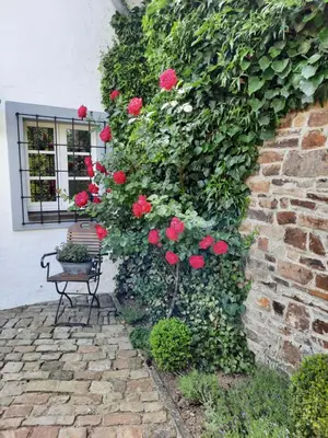 Ein Garten an der Unterkunft Maternushof