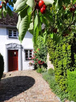 Ein Garten an der Unterkunft Maternushof