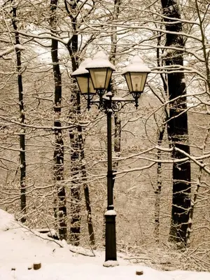 Berghotel Wintersberg im Winter