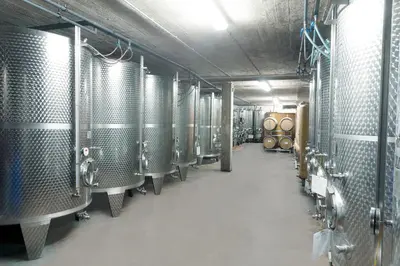 Grundriss der Unterkunft Pension und Weingut Moselblick