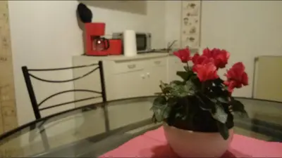 Küche/Küchenzeile in der Unterkunft Ferienwohnung An der Loreley
