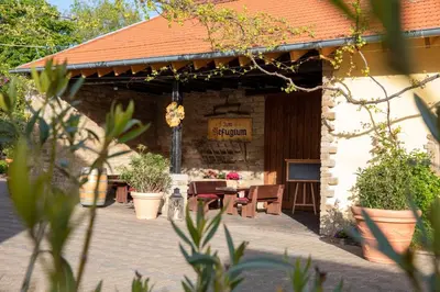 Ein Garten an der Unterkunft Tullius Die Rebmeisterei