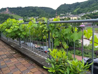 Ein allgemeiner Bergblick oder ein Berglick von der Ferienwohnung aus