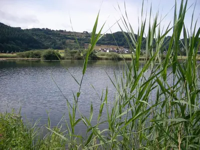 Naturlandschaft in der Nähe der Pension