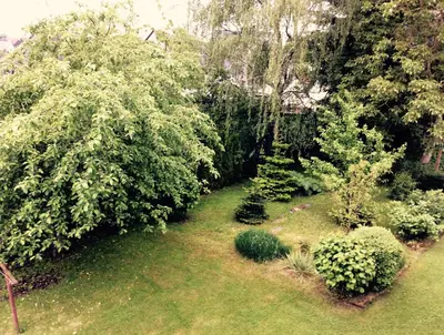 Ein Garten an der Unterkunft Haus Hunsrückhöhe