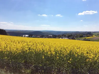 Naturlandschaft in der Nähe des Ferienhauses