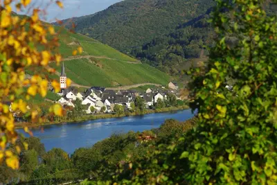 Naturlandschaft in der Nähe der Ferienwohnung