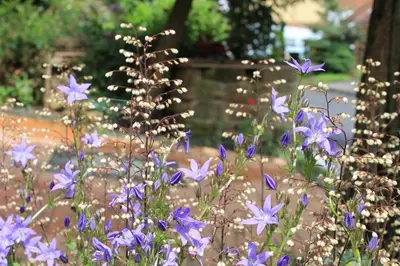 Ein Garten an der Unterkunft Maison Mille Fleurs