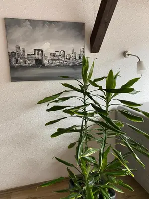 Grundriss der Unterkunft Ferienwohnung Malk
