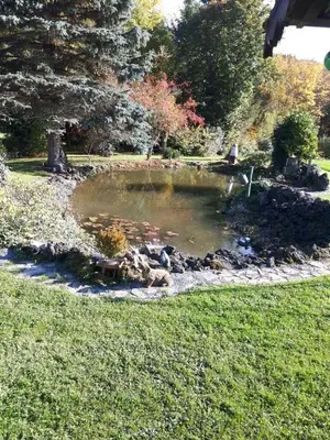 Ein Garten an der Unterkunft Pension Haus Liesertal