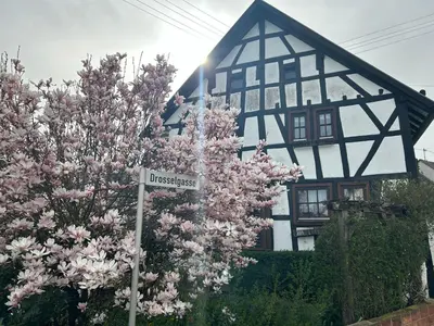 Ein Garten an der Unterkunft Das Pautzen Haus