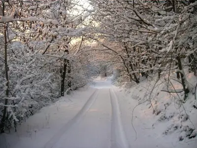 Ferienwohnung Nürburgblick im Winter
