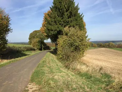 Naturlandschaft in der Nähe der Ferienwohnung
