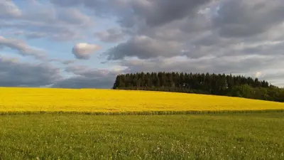 Naturlandschaft in der Nähe der Ferienwohnung