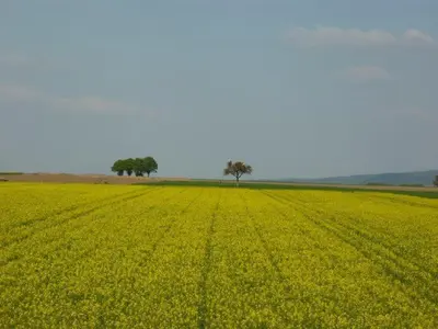 Naturlandschaft in der Nähe der Ferienwohnung