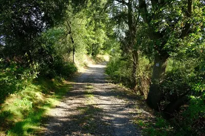 Naturlandschaft in der Nähe der Ferienwohnung