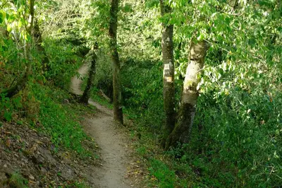 Naturlandschaft in der Nähe der Ferienwohnung