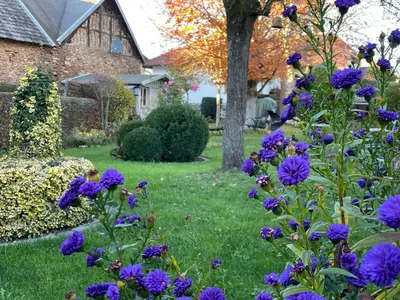 Ein Garten an der Unterkunft Haus Höppches