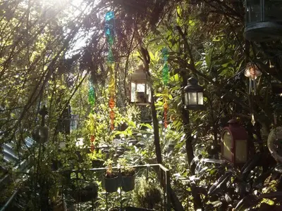 Ein Garten an der Unterkunft Ferienwohnungen Willrich - Ferienwohnung 2