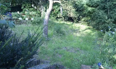 Ein Garten an der Unterkunft Ferienwohnungen Willrich - Ferienwohnung 3