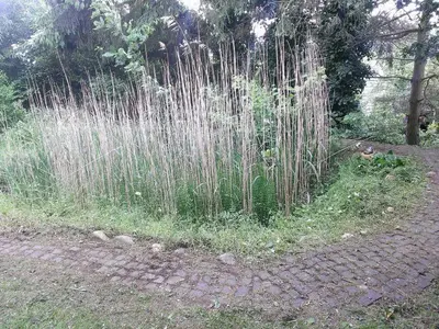 Ein Garten an der Unterkunft Ferienwohnungen Willrich - Ferienwohnung 3