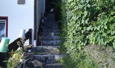 Ein Garten an der Unterkunft Ferienwohnungen Willrich - Ferienwohnung 3