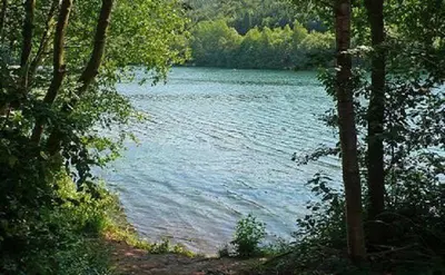 Naturlandschaft in der Nähe der Ferienwohnung