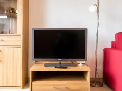 TV/Unterhaltungsangebot in der Unterkunft Apartment Amsel - A410 by Interhome