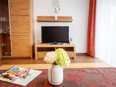 TV/Unterhaltungsangebot in der Unterkunft Apartment Wiesenblick - A706 by Interhome