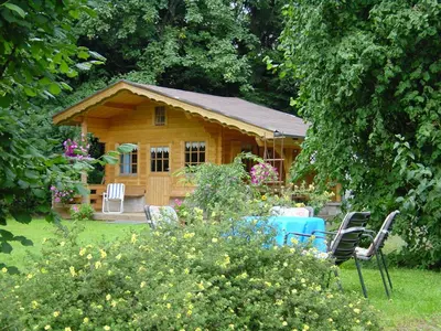 Ein Garten an der Unterkunft Ferienwohnung Steinebach