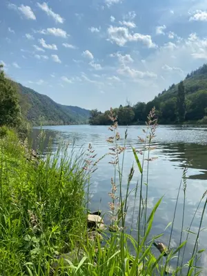 Naturlandschaft in der Nähe der Ferienwohnung