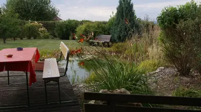 Naturlandschaft in der Nähe der Ferienwohnung