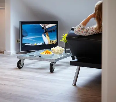 TV/Unterhaltungsangebot in der Unterkunft Ferienwohnung Schwarz