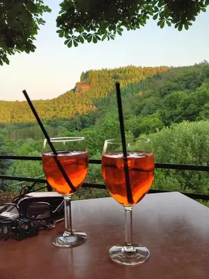 Getränke in der Unterkunft Hotel-Restaurant Burg-Ramstein