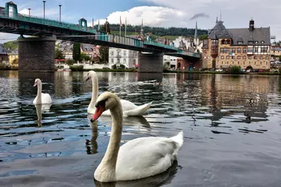 Blick auf einen Fluss in der Nähe des Privatzimmers