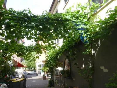 Die Umgebung um das Privatzimmer
