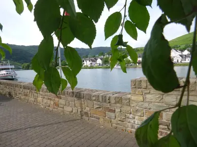 Naturlandschaft in der Nähe des Privatzimmers