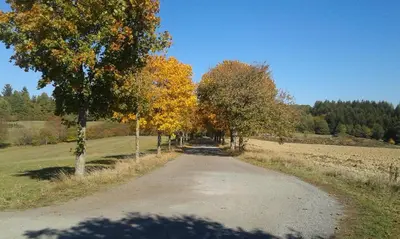 Naturlandschaft in der Nähe des Ferienhauses