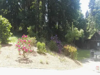 Ein Garten an der Unterkunft Ferienhaus in Filz in der Eifel
