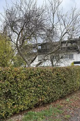 Ein Garten an der Unterkunft Gästehaus Fries