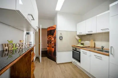 Küche/Küchenzeile in der Unterkunft Ferienwohnung Ginsterberg