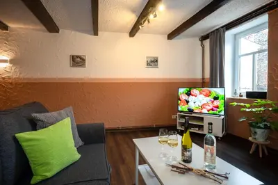 TV/Unterhaltungsangebot in der Unterkunft Ferienwohnung Ginsterberg