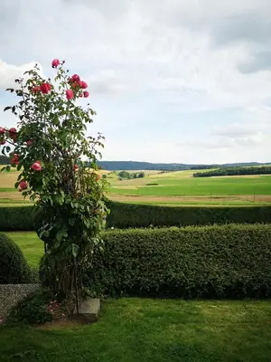 Ein Garten an der Unterkunft Haus Marvin