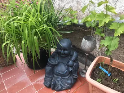 Ein Garten an der Unterkunft Ferienwohnung in Ediger Eller